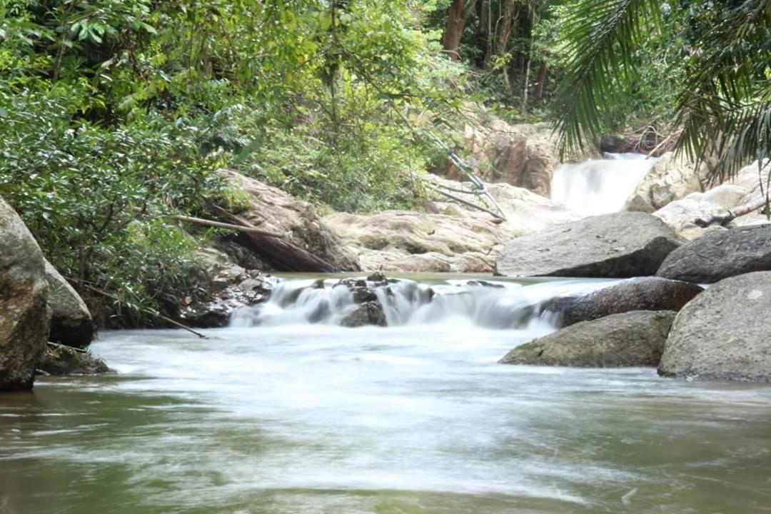 Rock Forest Chalet Bentong Esterno foto