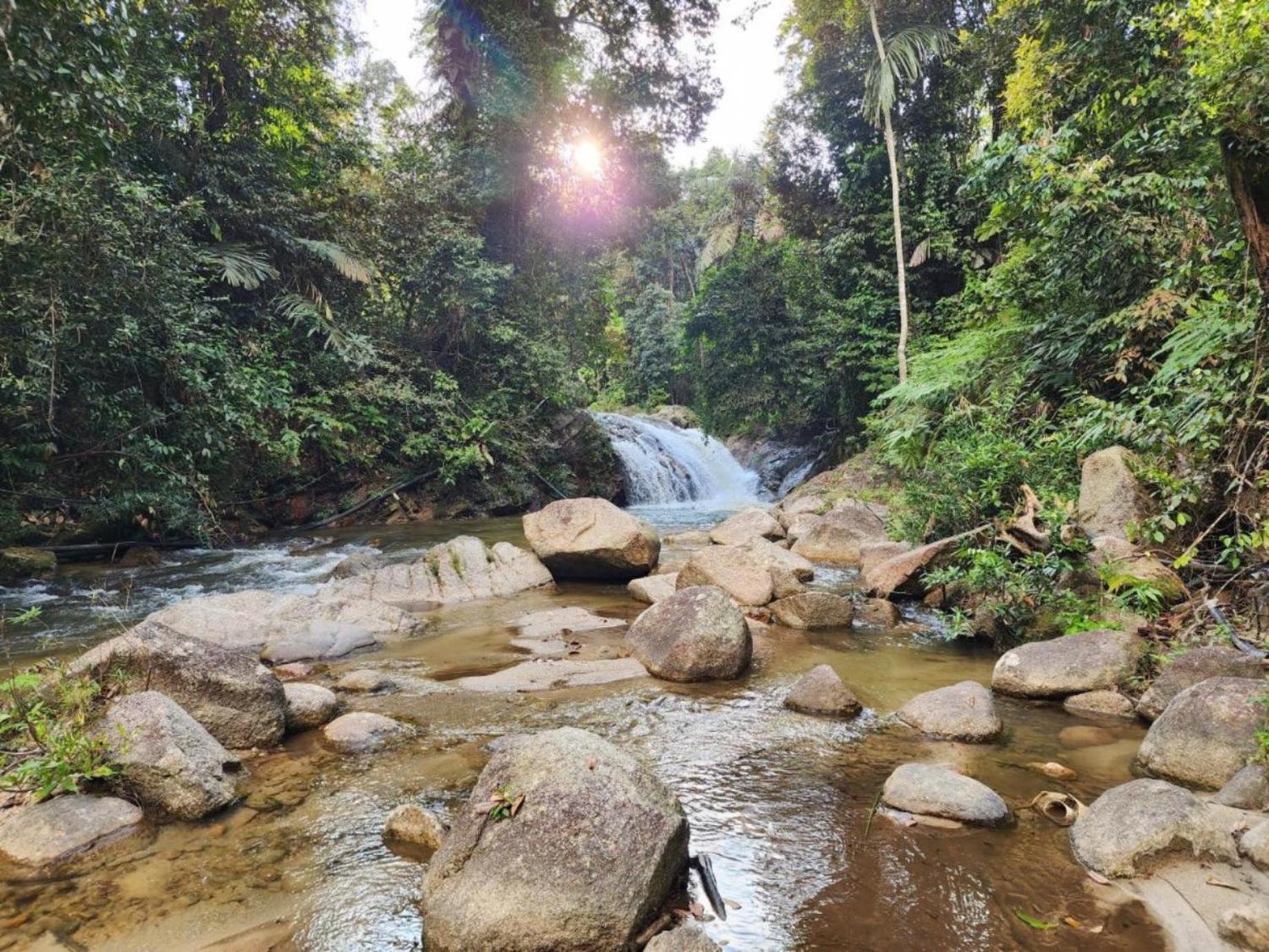 Rock Forest Chalet Bentong Esterno foto